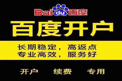 关键词竞价排名策略案例分析